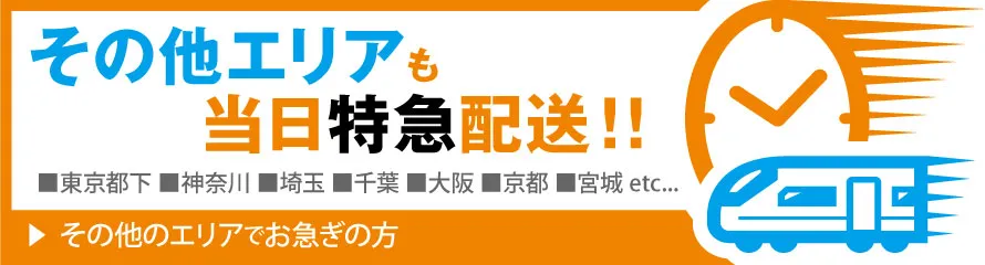 首都圏（東京都下、神奈川、埼玉、千葉）・関西圏（大阪府下、京都、兵庫、奈良、和歌山）は最短5時間でお届け｜ポスター・チラシ・名刺・パネルなどの当日・即日印刷はビジプリ